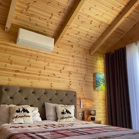 Thethi Mountain Villas Dış mekan fotoğraf